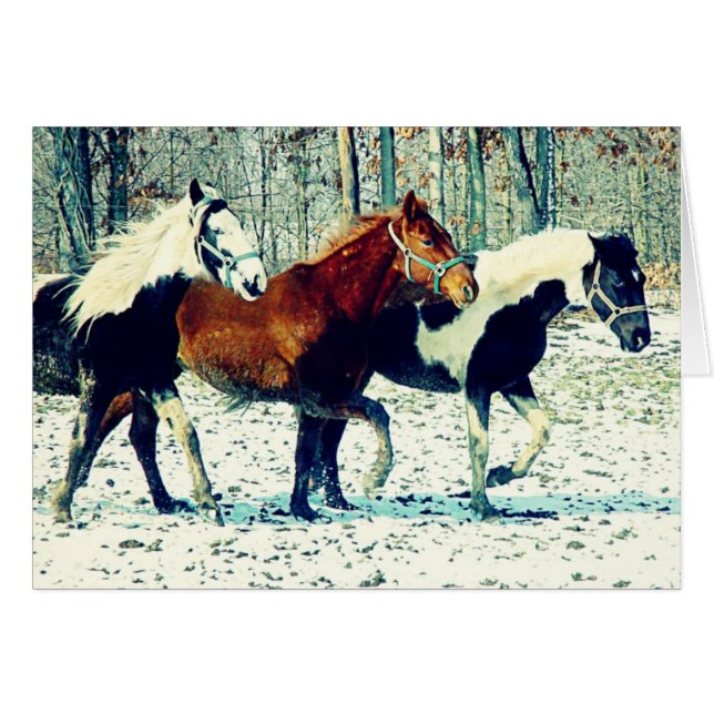 Winter Horses Cards (Front Horizontal)