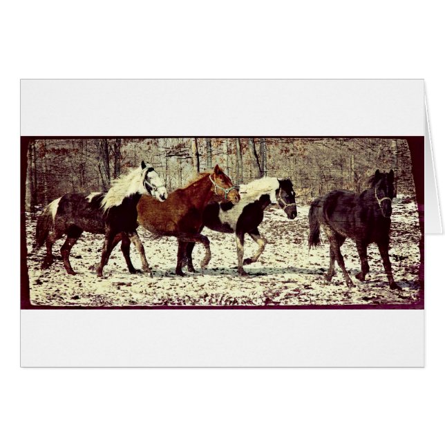 Winter Horses Cards (Front Horizontal)