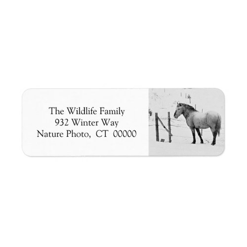 Winter Horses Fence Personalizable Christmas Label