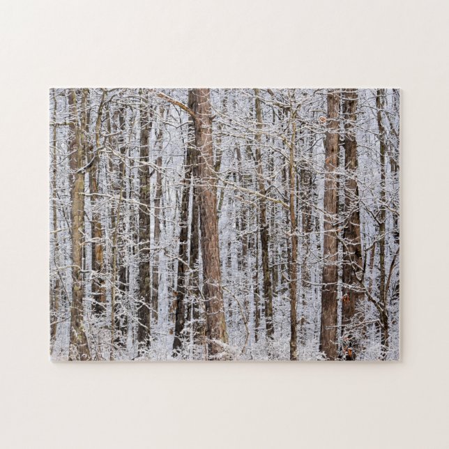 Winter Ice Storm in the Forest - 11x14 inch Jigsaw Puzzle (Horizontal)