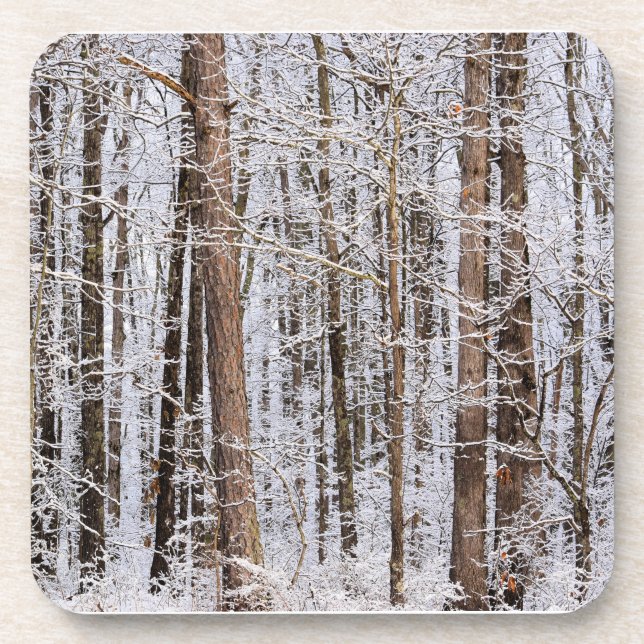 Winter Ice Storm in the Forest Beverage Coaster (Front)