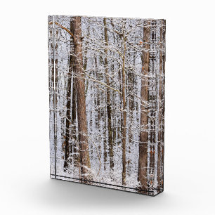 Winter Ice Storm in the Forest Photo Block