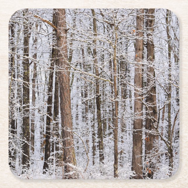 Winter Ice Storm in the Forest Square Paper Coaster (Front)