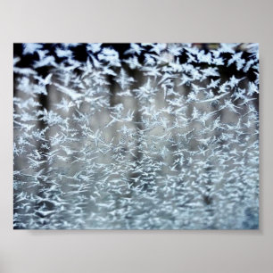 Winter Icicles Poster