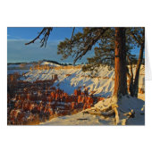 Winter In Bryce Canyon (Front Horizontal)