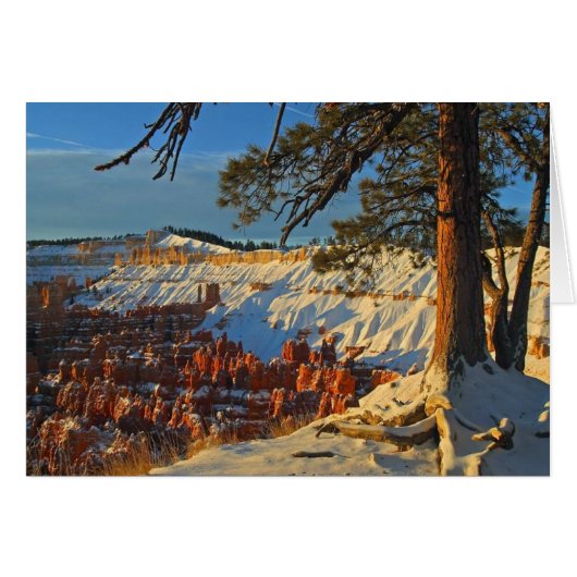 Winter In Bryce Canyon Cards (Front Horizontal)