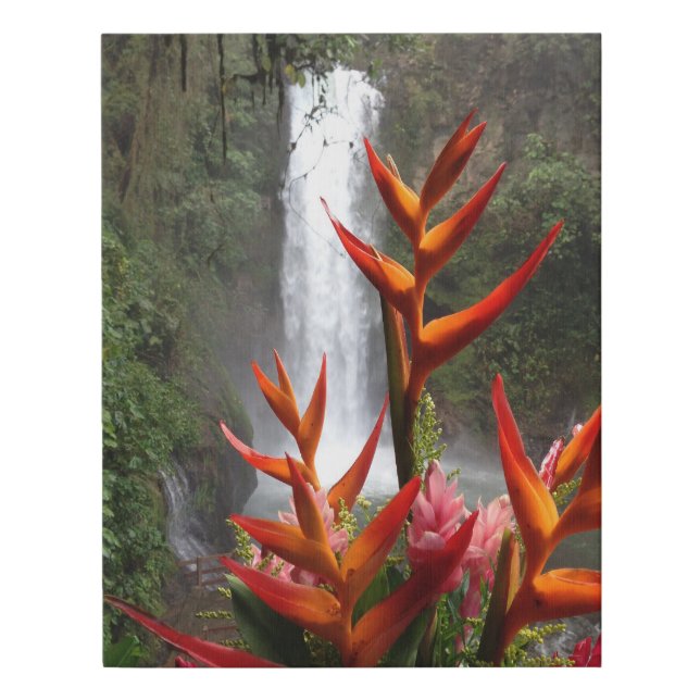 Winter in Central America Faux Canvas Print (Front)