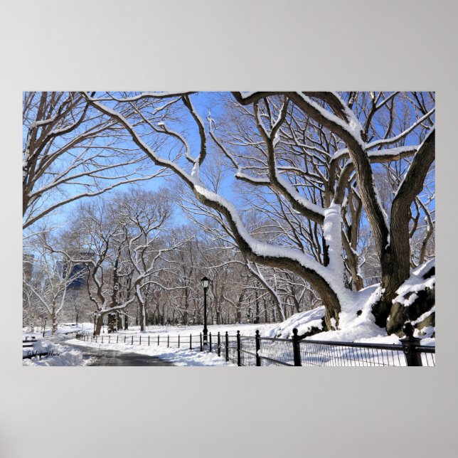 Winter in Central Park, New York City Poster (Front)