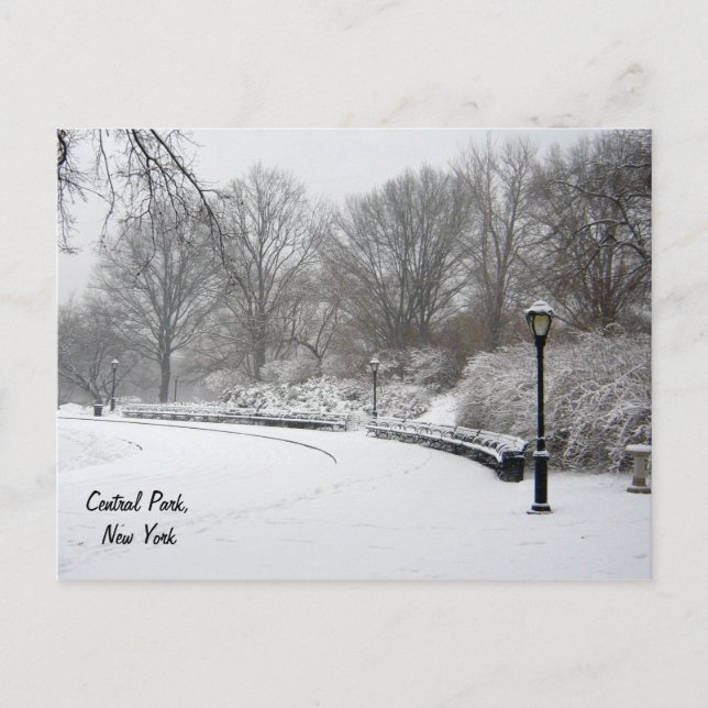 Winter in Central Park Postcard (Front)