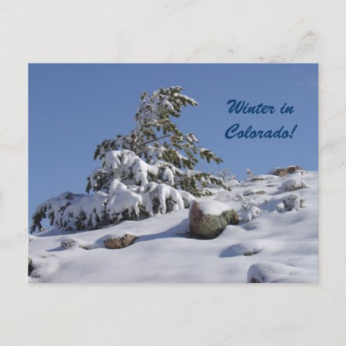 Winter in Colorado Postcard