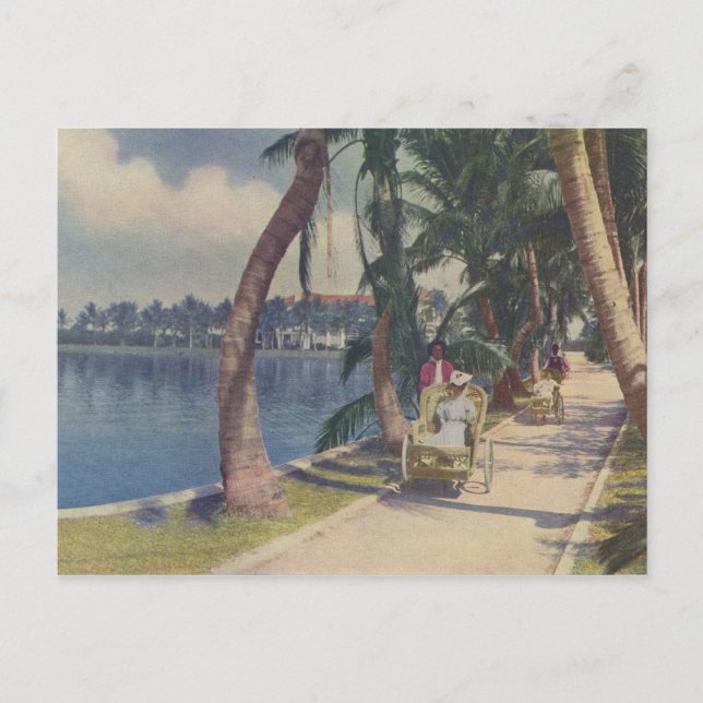 Winter in Florida, 1908 Postcard (Front)