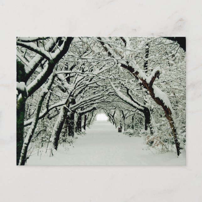 Winter in Heaton Park Postcard (Front)