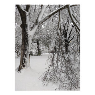 Winter in Lafayette Square, Washington, DC Photo Print