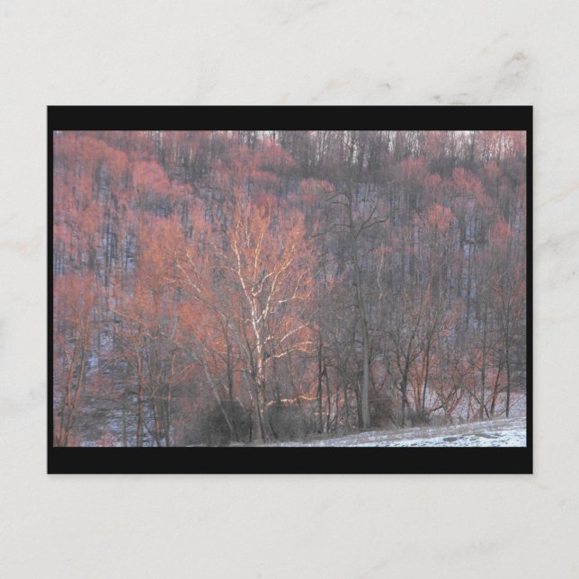 ~ Winter in Lancaster County ~ 10 Postcard (Front)