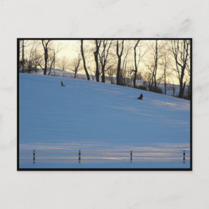 ~ Winter in Lancaster County ~ 6 Postcard