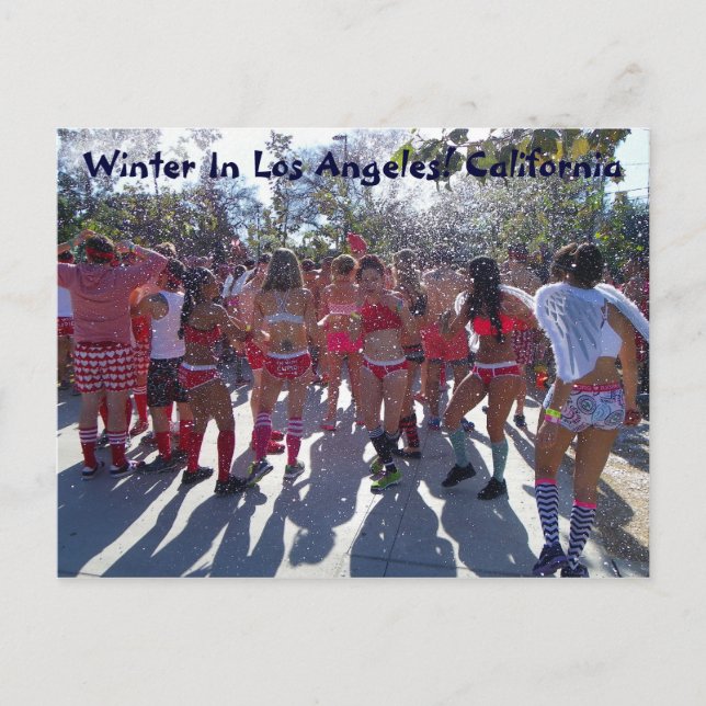 Winter In Los Angeles Postcard! Postcard (Front)
