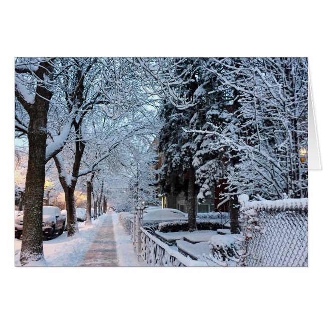 Winter in Montreal Cards (Front Horizontal)