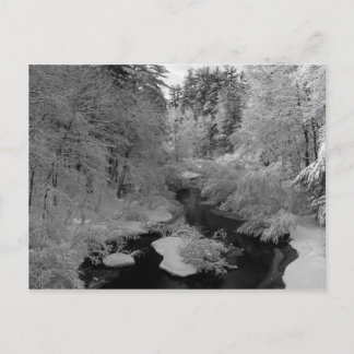 Winter In New England Postcard