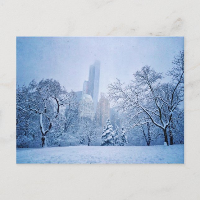 Winter In New York City’s Central Park Postcard (Front)