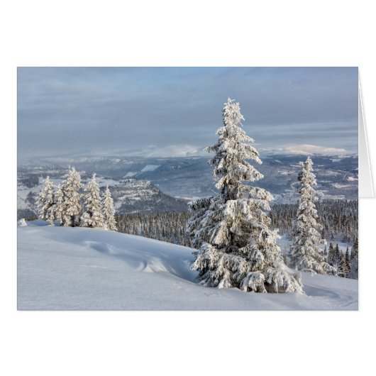 Winter in Norway Cards (Front Horizontal)