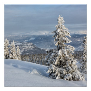 Winter in Norway Poster