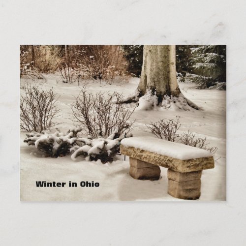 Winter in Ohio Postcard