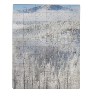 Winter in Pike National Forest Jigsaw Puzzle