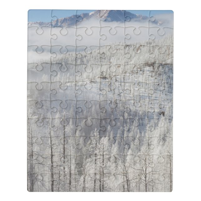Winter in Pike National Forest Jigsaw Puzzle (Puzzle Vertical)