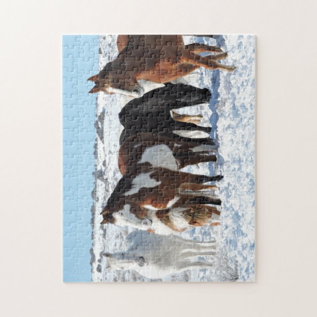 Winter in Sand Wash Basin Jigsaw Puzzle (Vertical)