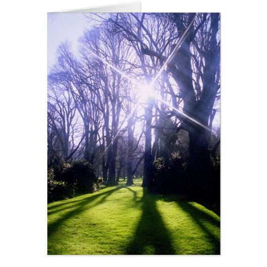 Winter in the Fitzroy Gardens Cards (Front)
