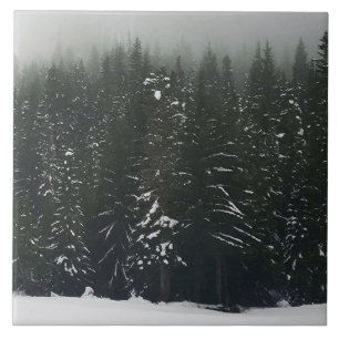 Winter in the Mountain Forest Ceramic Tile
