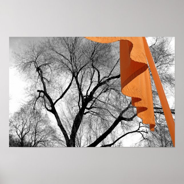 Winter in the Park Poster (Front)