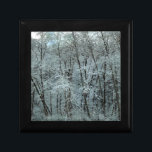 Winter in the Tillamook State Forest Gift Box<br><div class="desc">Driving through the thick forested roads in the Tillamook State Forest,  Oregon. Beautiful snow-covered trees,  so peaceful & beautiful in the winter!</div>