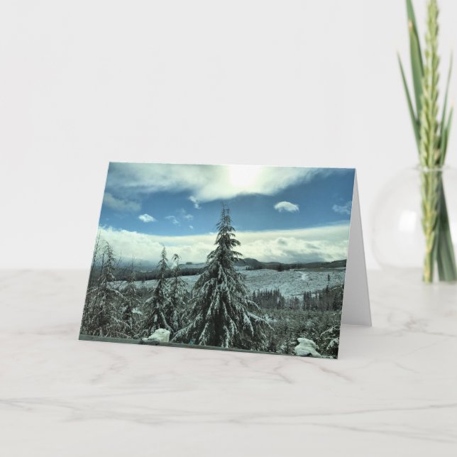 Winter in the Tillamook State Forest, Oregon Card (Front)