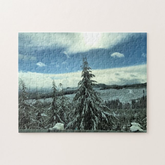 Winter in the Tillamook State Forest, Oregon Jigsaw Puzzle (Horizontal)