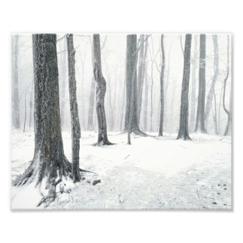 Winter In The Woods Photo Print by nikkilynndesign at Zazzle