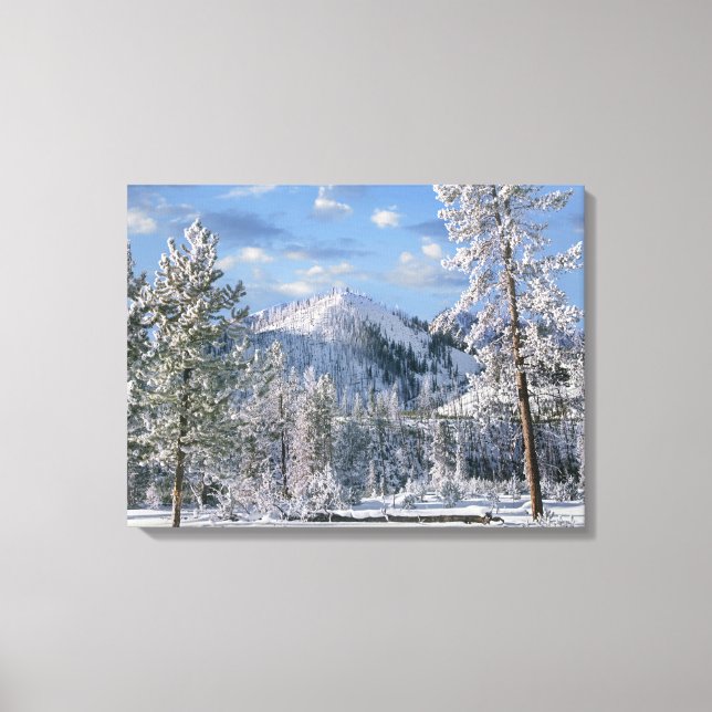 Winter in Yellowstone National Park, Wyoming Canvas Print (Front)