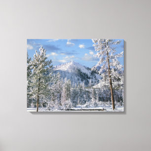 Winter in Yellowstone National Park, Wyoming Canvas Print