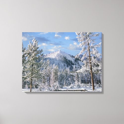 Winter in Yellowstone National Park Wyoming Canvas Print