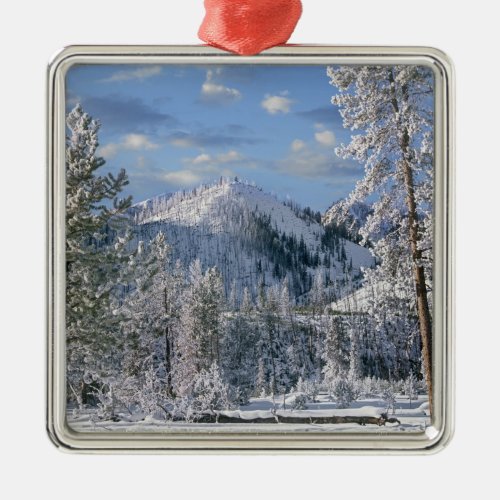 Winter in Yellowstone National Park Wyoming Metal Ornament