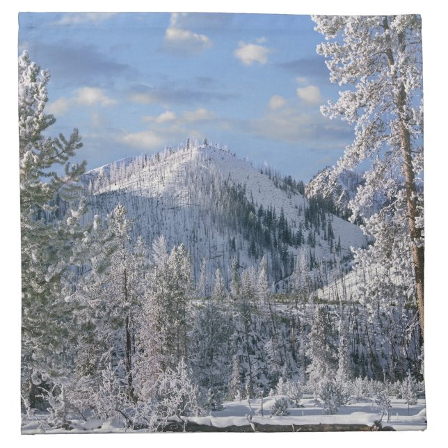Winter in Yellowstone National Park, Wyoming Napkin (Front)