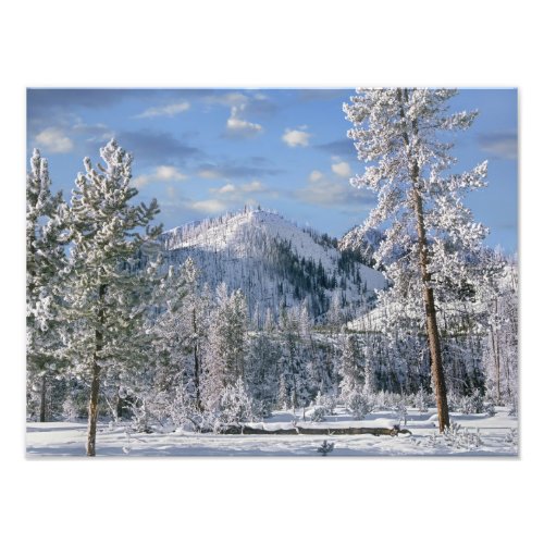 Winter in Yellowstone National Park Wyoming Photo Print