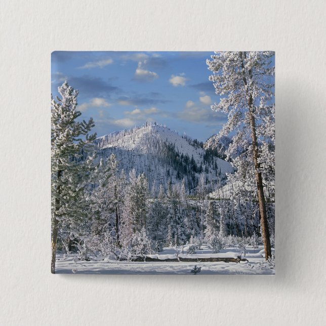 Winter in Yellowstone National Park, Wyoming Pinback Button (Front)