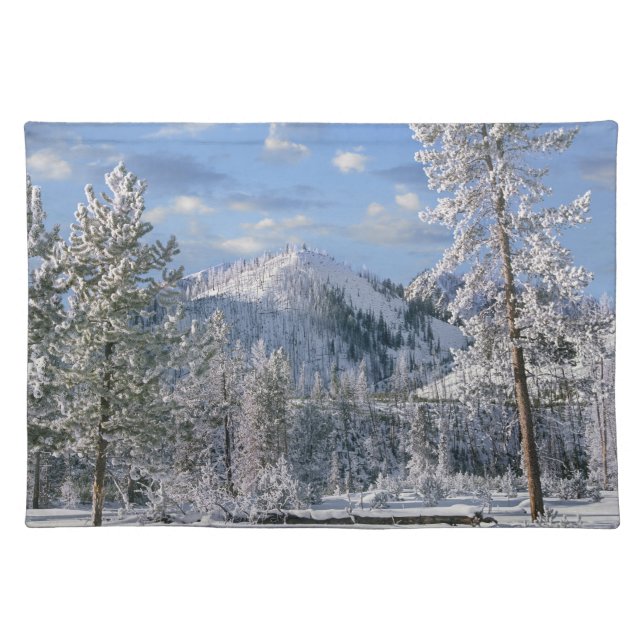 Winter in Yellowstone National Park, Wyoming Placemat (Front)