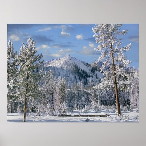 Winter in Yellowstone National Park Wyoming Poster