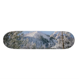 Winter in Yellowstone National Park, Wyoming Skateboard Deck