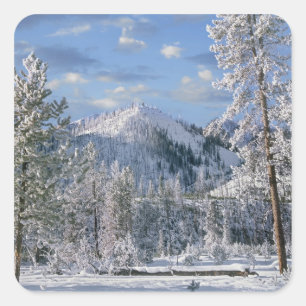 Winter in Yellowstone National Park, Wyoming Square Sticker