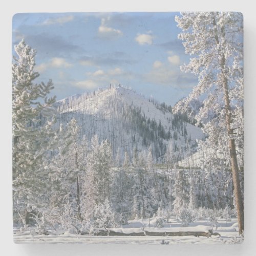 Winter in Yellowstone National Park Wyoming Stone Coaster