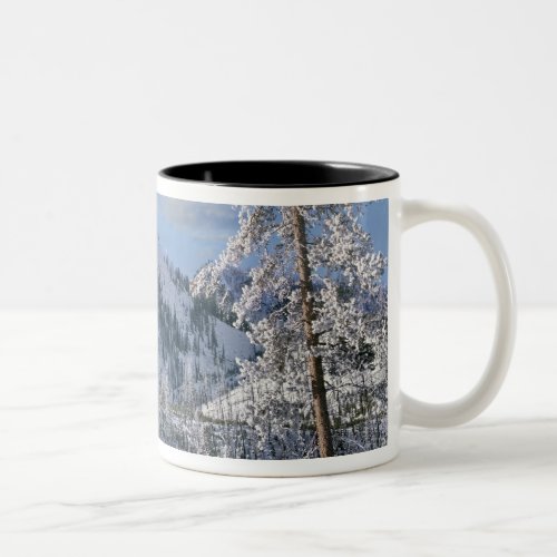 Winter in Yellowstone National Park Wyoming Two_Tone Coffee Mug