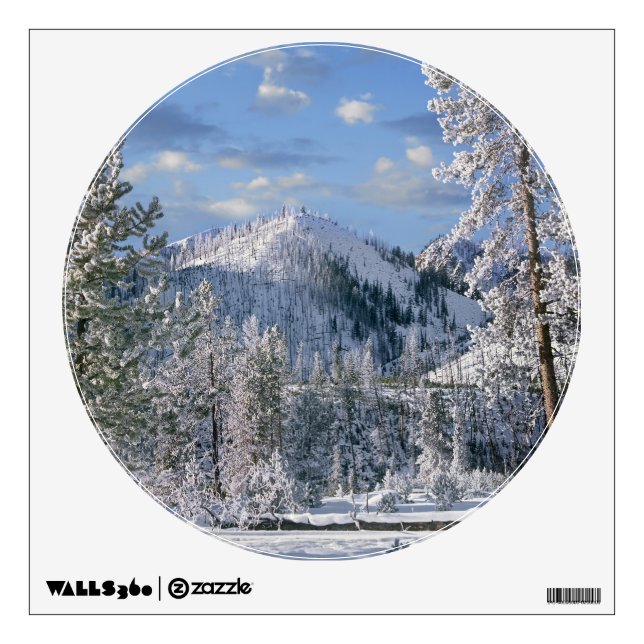 Winter in Yellowstone National Park, Wyoming Wall Decal (Front)